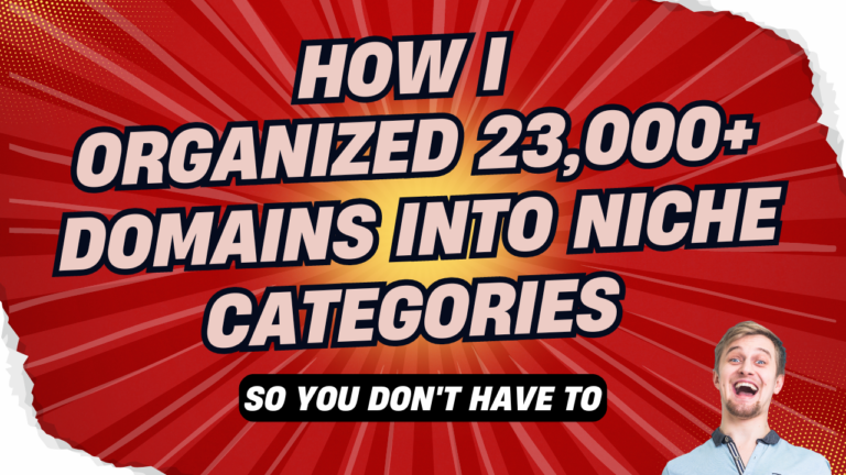 Image with a text how i organized 23,000+ domains into niche categories with a person exclaimed